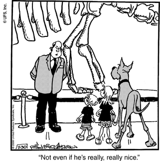 marmaduke